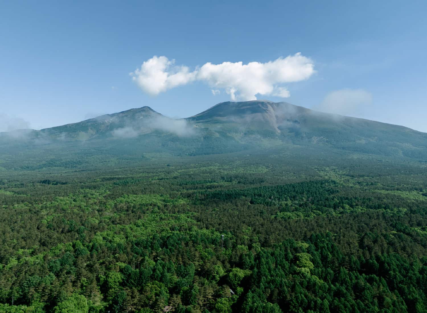 Villa Metsä KARUIZAWA 2
